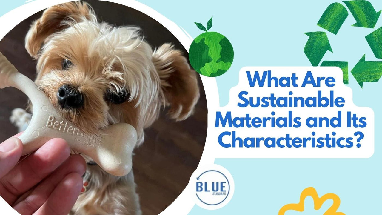 What Are Sustainable Materials and Its Characteristics?