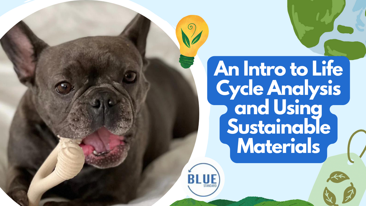 An Intro to Life Cycle Analysis and Using Sustainable Materials