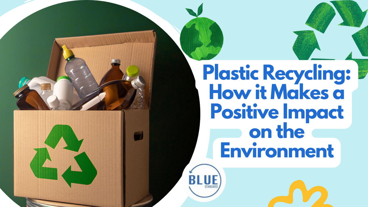 Plastic Recycling: How it Makes a Positive Impact on the Environment