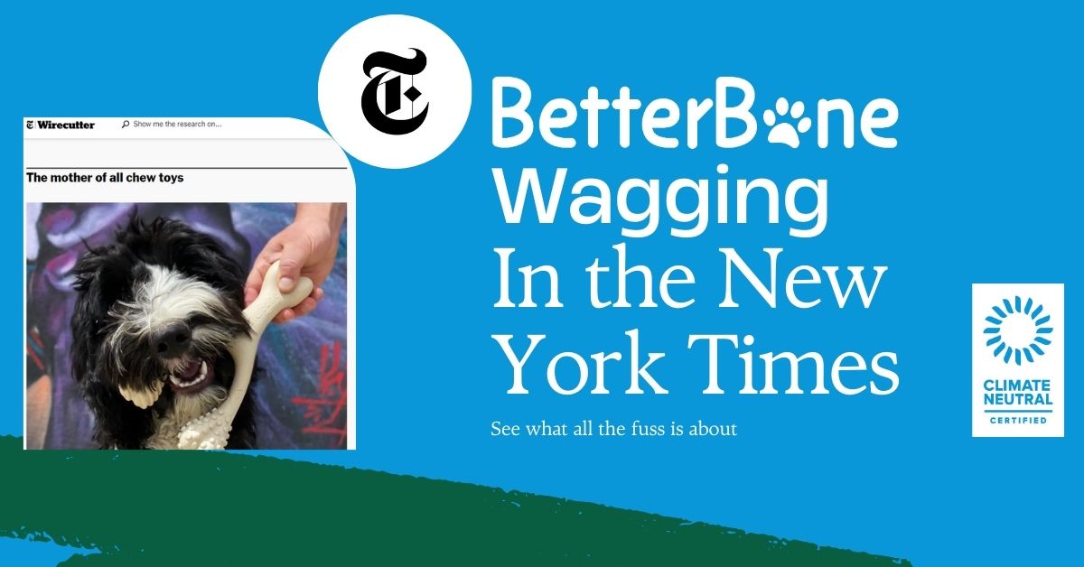 Blue Standard Inc. Celebrates BetterBone's Recent Features in the New York Times and WireCutter