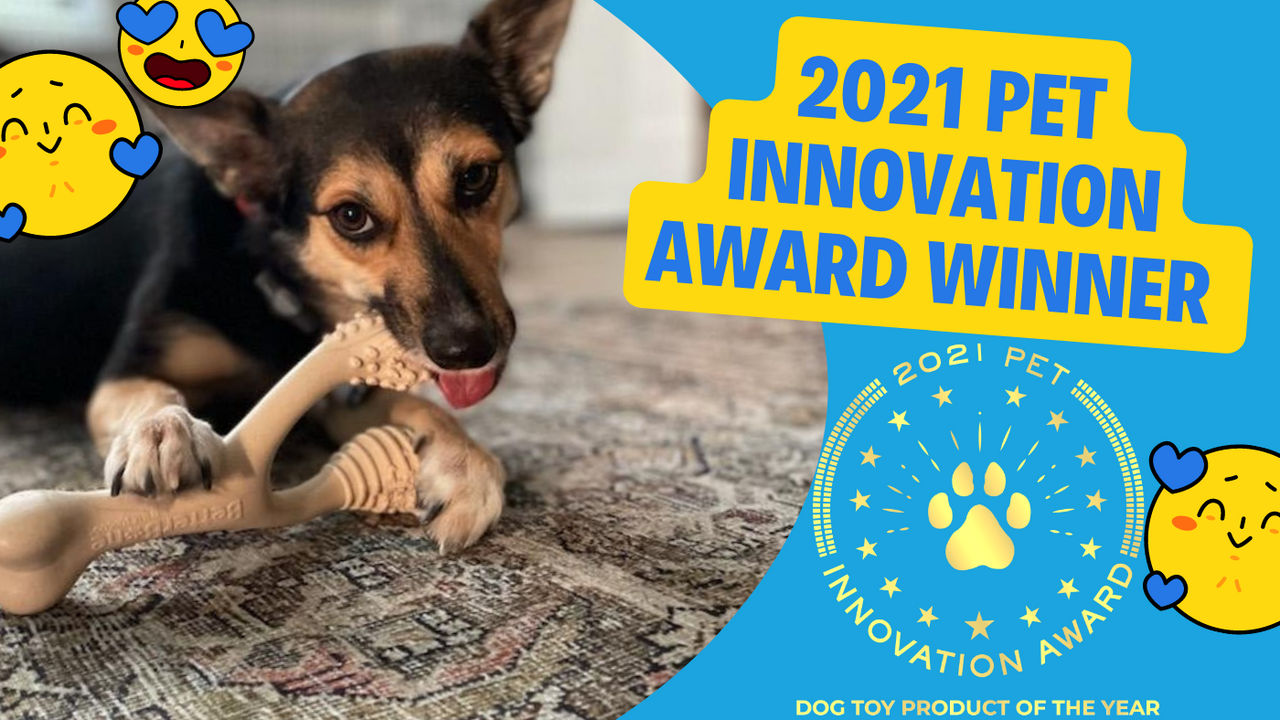 2021 Pet Innovation Award Winner - Dog Toy Product Of The Year